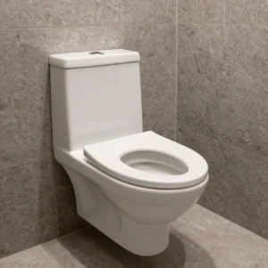 Cambio e Instalación de Inodoro